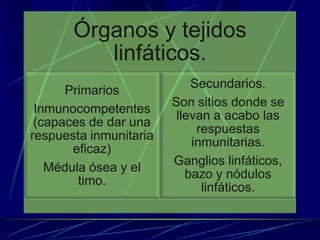 Órganos y tejidos
linfáticos.
Primarios
Inmunocompetentes
(capaces de dar una
respuesta inmunitaria
eficaz)
Médula ósea y el
timo.
Secundarios.
Son sitios donde se
llevan a acabo las
respuestas
inmunitarias.
Ganglios linfáticos,
bazo y nódulos
linfáticos.
 