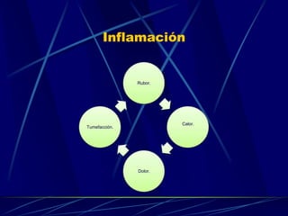 Inflamación
Rubor.
Calor.
Dolor.
Tumefacción.
 