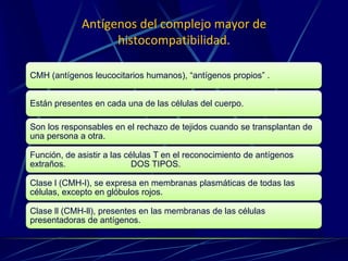 Antígenos del complejo mayor de
histocompatibilidad.
CMH (antígenos leucocitarios humanos), “antígenos propios” .
Están presentes en cada una de las células del cuerpo.
Son los responsables en el rechazo de tejidos cuando se transplantan de
una persona a otra.
Función, de asistir a las células T en el reconocimiento de antígenos
extraños. DOS TIPOS.
Clase l (CMH-l), se expresa en membranas plasmáticas de todas las
células, excepto en glóbulos rojos.
Clase ll (CMH-ll), presentes en las membranas de las células
presentadoras de antígenos.
 