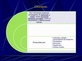 Citocinas.
Son hormonas proteicas
encargadas de estimular o
inhibir varias funciones
celulares normales, como el
crecimiento y diferenciación
celular.
Producidas por:
• Linfocitos y células.
presentadoras de antígenos.
• Fibroblastos.
• Monocitos.
• Hepatocitos.
• Células renales.
 