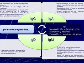 • 5-10% de los anticuerpos circulantes.
• Esta presente en la linfa.
• Primera clase de anticuerpos que secretan
las células plasmáticas en respuesta a un
antígeno.
• activan el sistema de complemento y
provoca la lisis y la aglutinación microbiana.
• Presentes en células B, participan en la
activación, representa cerca .2% de los
anticuerpos sanguíneos.
• Se encuentra en el sudor, las lagrimas,
saliva, moco, leche materna y secrecióne
digestivas.
• Constituye el 10 a 15% de los anticuerpo
circulantes en la sangre.
• Provee protección en las membrana
mucosas contra virus y bacterias.
Más abundante, 80% de los anticuerpos en
la sangre.
Se encuentra en la sangre, linfa e
intestinoss.
Protección contra bacterias y virus a partir
de la facilitación de la fagocitosis,
neutralización de toxinas e inicio de la
cascad del sistema de complemento.
Única que atraviesa la placenta.
IgG IgA
IgMIgD
Tipos de inmunoglobulinas.
IgE.
•Menos del 1%, se localizan en los
•Mastocitos y basófilos.
•Protección en reacciones alergicas.
 