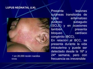 LUPUS NEONATAL (LN).
Presenta lesiones
cutáneas transitorias de
lupus eritematoso
cutáneo subagudo
(SCLE) y en ocasiones
también presenta
bloqueo cardíaco
congénito (BCC).
En relación al BCC, se
presenta durante la vida
intrauterina y puede ser
detectado desde la 16ª y
24ª semana, pero con
frecuencia es irreversible
1 en 20,000 recién nacidos
vivos
 