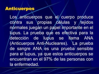 Anticuerpos
Los anticuerpos que el cuerpo produce
contra sus propias células y tejidos
normales juegan un papel importante en el
lupus. La prueba que es efectiva para la
detección de lupus se llama ANA
(Anticuerpos Anti-Nucleares). La prueba
de sangre ANA es una prueba sensible
para el lupus, ya que estos anticuerpos se
encuentran en el 97% de las personas con
la enfermedad.
 