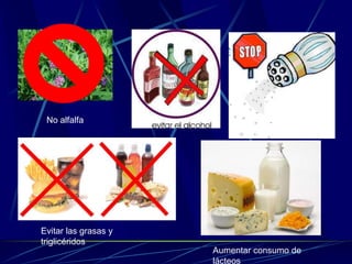 No alfalfa
Evitar la sal
Evitar las grasas y
triglicéridos
Aumentar consumo de
lácteos
 