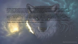 • Os índios respeitam a bravura do lobo como caçador, sua determinação e a maneira como ele se move silenciosamente
pela paisagem. Eles ficam emocionados com seu uivo, que consideram como uma conversa com o mundo espiritual. Aliás,
o lobo aparece em muitas lendas como um mensageiro, um viajante de longa distância e um guia para qualquer um que
esteja buscando o mundo espiritual. Ele traz o presságio de novas ideias.
• O lobo é o grande professor. É o sábio, que após muitos invernos no caminho sagrado, buscando os caminhos da
sabedoria, retorna para compartilhar seu conhecimento com a tribo. Para a China, também a estrela Sírius é o lobo
celeste, guardião do palácio celeste (Ursa Maior). Esse caráter polar se explica pelo fato de que se atribui o lobo ao Norte.
• O lobo representa a fidelidade, a lealdade, a união, a coragem, o desejo de sempre querer vencer e de nunca desistir.
• Muitos o temem, mas mal sabem que ele tem muito para nós ensinar!
 