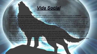 • É extremamente raro encontrar um lobo que viva isolado, sozinho, pois os lobos costumam viver em alcateias
(comunidade de lobos). Toda alcateia é liderada por um único casal reprodutor, que permanecem juntos por toda a vida.
• Nas primaveras ou nos verões, a alcateia se subdivide em grupos menores, dentro de territórios demarcados, para o
acasalamento. A gestação dura dois meses, sendo que em cada cria nascem de 5 a 14 filhotes. A fêmea costuma dar a luz
em um local previamente preparado com pelos e folhas, embaixo de uma árvore ou próximo a rochas. Ao nascerem, os
filhotes pesam 0,5 kg. Nascem com pelos finos, orelhas moles e com os olhos fechados, sendo que só abre os mesmos
após 12 dias. Nesse período a fêmea só permite que o macho se aproxime, apenas para trazer comida. Os pequenos lobos
crescem rápido, sendo que por volta de 6 meses já estão aptos a caçar.
• Nas primaveras ou nos verões, a alcateia se subdivide em grupos menores, dentro de territórios demarcados, para o
acasalamento. A gestação dura dois meses, sendo que em cada cria nascem de 5 a 14 filhotes. A fêmea costuma dar a luz
em um local previamente preparado com pelos e folhas, embaixo de uma árvore ou próximo a rochas. Ao nascerem, os
filhotes pesam 0,5 kg. Nascem com pelos finos, orelhas moles e com os olhos fechados, sendo que só abre os mesmos
após 12 dias. Nesse período a fêmea só permite que o macho se aproxime, apenas para trazer comida. Os pequenos lobos
crescem rápido, sendo que por volta de 6 meses já estão aptos a caçar.
 