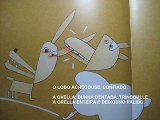 O LOBO ACHEGOUSE, CONFIADO. A OVELLA, DUNHA DENTADA, TRINCOULLE A ORELLA ENTEIRA E DEIXOUNO PÁLIDO. 
