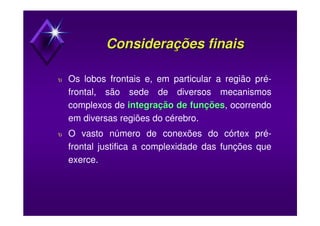 Considerações finaisConsiderações finais
υ Os lobos frontais e, em particular a região pré-
frontal, são sede de diversos mecanismos
complexos de integração de funçõesintegração de funções, ocorrendo
em diversas regiões do cérebro.
υ O vasto número de conexões do córtex pré-
frontal justifica a complexidade das funções que
exerce.
 