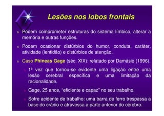 Lesões nos lobos frontaisLesões nos lobos frontais
υ Podem comprometer estruturas do sistema límbico, alterar a
memória e outras funções.
υ Podem ocasionar distúrbios do humor, conduta, caráter,
atividade (lentidão) e distúrbios de atenção.
υ Caso Phineas Gage (séc. XIX): relatado por Damásio (1996).
υ 1ª vez que tornou-se evidente uma ligação entre uma
lesão cerebral específica e uma limitação da
racionalidade.
υ Gage, 25 anos, “eficiente e capaz” no seu trabalho.
υ Sofre acidente de trabalho: uma barra de ferro trespassa a
base do crânio e atravessa a parte anterior do cérebro.
 