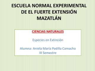 ESCUELA NORMAL EXPERIMENTAL
DE EL FUERTE EXTENSIÓN
MAZATLÁN
CIENCIAS NATURALES
Especies en Extinción
Alumna: Aniela María Padilla Camacho
III Semestre
 
