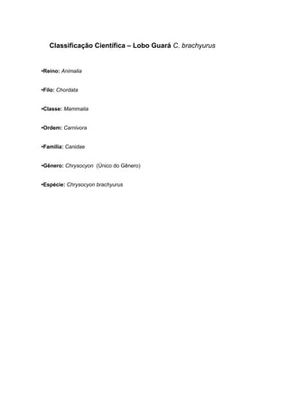 Classificação Científica – Lobo Guará C. brachyurus
•Reino: Animalia
•Filo: Chordata
•Classe: Mammalia
•Ordem: Carnivora
•Família: Canidae
•Gênero: Chrysocyon (Único do Gênero)
•Espécie: Chrysocyon brachyurus
 