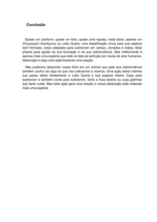 Conclusão
Quase um cachorro, quase um lobo, quase uma raposa, nada disso, apenas um
Chrysocyon brachyurus ou Lobo Guará, uma classificação única para sua espécie
bem formada, corpo adaptado para sobreviver em campo, cerrados e matas, dieta
própria para ajudar na sua formação e na sua sobrevivência. Mas infelizmente é
apenas mais uma espécie que está na lista de extinção por causa de atos humanos,
destruição e caça uma ação trazendo uma reação.
Não podemos descontar nossa fúria em um animal que pela sua sobrevivência
também usufrui da caça do que nós cultivamos e criamos. Uma ação talvez indireta
sua possa afetar diretamente o Lobo Guará e sua espécie inteira. Caça para
sobreviver e também come para sobreviver, tanto a fruta lobeira ou suas galinhas
que tanto cuida. Mas toda ação gera uma reação e nossa destruição está matando
mais uma espécie.
 