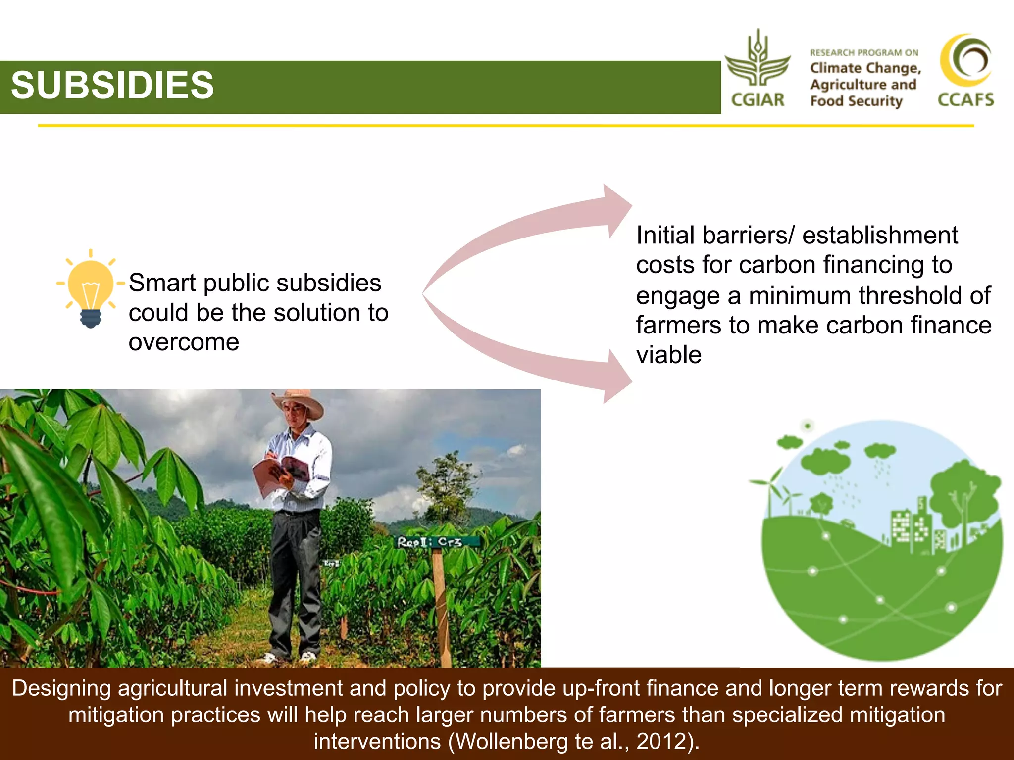 Cost and implementation of mitigation in agriculture | PDF