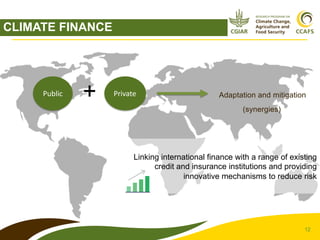 Cost and implementation of mitigation in agriculture | PDF