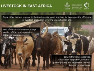 Cost and implementation of mitigation in agriculture | PDF
