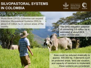 Cost and implementation of mitigation in agriculture | PDF
