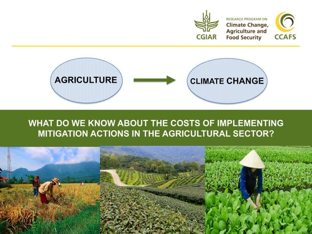 Cost and implementation of mitigation in agriculture | PPT