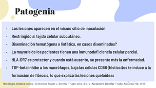 Lobulo Infectado lobomicosis.pptx