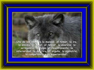 Uno de los lobos es  la  maldad,  el  temor,  la  ira,  la  envidia,  el  dolor,  el  rencor,  la  avaricia,  la  arrogancia,  la  culpa,  el  resentimiento,  la  inferioridad,  la  mentira,  el  orgullo,  la  egolatr ía ,  la  competencia  y la  superioridad.  
