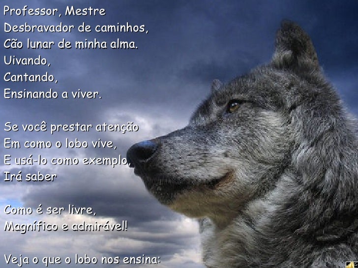 A loba em minha cama 7