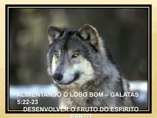 ALIMENTANDO O LOBO BOM – GALATAS
5:22-23
DESENVOLVER O FRUTO DO ESPIRITO
 
