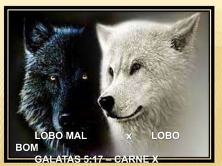 LOBO MAL x LOBO
BOM
GALATAS 5:17 – CARNE X
 