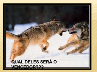 QUAL DELES SERÁ O
VENCEDOR???
 
