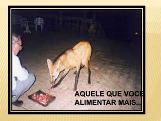 AQUELE QUE VOCE
ALIMENTAR MAIS...
 