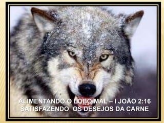 ALIMENTANDO O LOBO MAL – I JOÃO 2:16
SATISFAZENDO OS DESEJOS DA CARNE
 