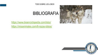 BIBLIOGRAFIA
https://www.bioenciclopedia.com/lobo/
https://misanimales.com/6-razas-lobos/
TODO SOBRE LOS LOBOS
 