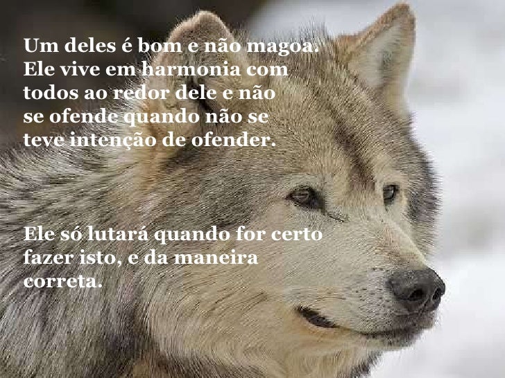 O Inimigo Todos Contra Um O Inimigo Todos Contra Um