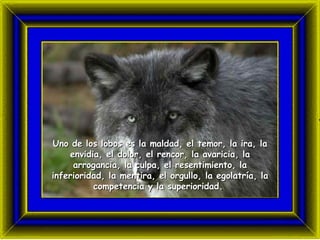 Uno de los lobos es la maldad, el temor, la ira, la envidia, el dolor, el rencor, la avaricia, la arrogancia, la culpa, el resentimiento, la inferioridad, la mentira, el orgullo, la egolatr ía , la competencia y la superioridad.
