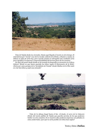 Lobos en Tejeda de Tiétar