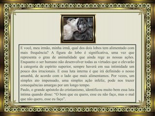 E você, meu irmão, minha irmã, qual dos dois lobos tem alimentado com
mais frequência? A figura do lobo é significativa, uma vez que
representa o grau de animalidade que ainda rege as nossas ações.
Enquanto o ser humano não desenvolver todas as virtudes que o elevarão
à categoria de espírito superior, sempre haverá em sua intimidade um
pouco dos irracionais. E essa luta interna é que irá definindo o nosso
amanhã, de acordo com o lado que mais alimentamos. Por vezes, um
simples ato impensado, uma simples ação infeliz, pode nos trazer
consequências amargas por um longo tempo.
Paulo, o grande apóstolo do cristianismo, identificou muito bem essa luta
íntima quando disse: “O bem que eu quero, esse eu não faço, mas o mal
que não quero, esse eu faço”.
 