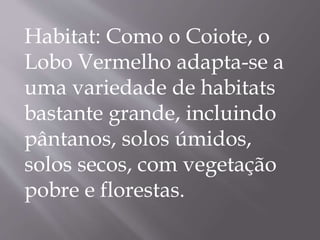 Habitat: Como o Coiote, o
Lobo Vermelho adapta-se a
uma variedade de habitats
bastante grande, incluindo
pântanos, solos úmidos,
solos secos, com vegetação
pobre e florestas.
 