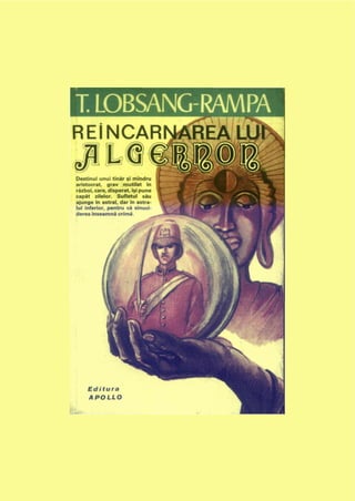 Rampa Auto Per Cani Pieghevole In Plastica 152x43x4 Cm 171963
