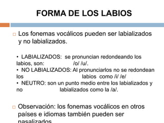 FORMA DE LOS LABIOS

   Los fonemas vocálicos pueden ser labializados
    y no labializados.

    • LABIALIZADOS: se pronuncian redondeando los
    labios, son:          /o/ /u/.
    • NO LABIALIZADOS: Al pronunciarlos no se redondean
    los                        labios como /i/ /e/
    • NEUTRO: son un punto medio entre los labializados y
    no             labializados como la /a/.


   Observación: los fonemas vocálicos en otros
    países e idiomas también pueden ser
 