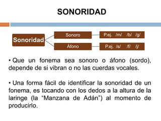 SONORIDAD

                    Sonoro        P.ej. /m/   /b/ /g/
 Sonoridad
                    Áfono         P.ej. /s/   /f/   /j/


• Que un fonema sea sonoro o áfono (sordo),
depende de si vibran o no las cuerdas vocales.

• Una forma fácil de identificar la sonoridad de un
fonema, es tocando con los dedos a la altura de la
laringe (la “Manzana de Adán”) al momento de
producirlo.
 