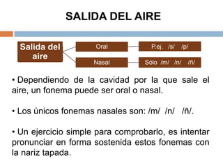 SALIDA DEL AIRE

  Salida del         Oral           P.ej. /s/    /p/
     aire
                     Nasal        Sólo /m/ /n/     /ñ/

• Dependiendo de la cavidad por la que sale el
aire, un fonema puede ser oral o nasal.

• Los únicos fonemas nasales son: /m/ /n/ /ñ/.

• Un ejercicio simple para comprobarlo, es intentar
pronunciar en forma sostenida estos fonemas con
la nariz tapada.
 