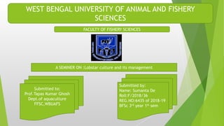 WEST BENGAL UNIVERSITY OF ANIMAL AND FISHERY
SCIENCES
FACULTY OF FISHERY SCIENCES
Submitted to:
Prof.Tapas Kumar Ghosh
Dept.of aquaculture
FFSC,WBUAFS
Submitted by:
Name: Sumanta De
Roll:F/2018/36
REG.NO:6435 of 2018-19
BFSc 3rd year 1st sem
A SEMINER ON :Lobstar culture and its management
 