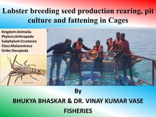 Lobster breeding seed production rearing, pit
culture and fattening in Cages
By
BHUKYA BHASKAR & DR. VINAY KUMAR VASE
FISHERIES
Kingdom:Animalia
Phylum:Arthropoda
Subphylum:Crustacea
Class:Malacostraca
Order:Decapoda
 