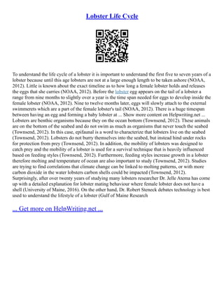 Lobster Life Cycle
To understand the life cycle of a lobster it is important to understand the first five to seven years of a
lobster because until this age lobsters are not at a large enough length to be taken ashore (NOAA,
2012). Little is known about the exact timeline as to how long a female lobster holds and releases
the eggs that she carries (NOAA, 2012). Before the lobster egg appears on the tail of a lobster a
range from nine months to slightly over a year is the time span needed for eggs to develop inside the
female lobster (NOAA, 2012). Nine to twelve months later, eggs will slowly attach to the external
swimmerets which are a part of the female lobster's tail (NOAA, 2012). There is a huge timespan
between having an egg and forming a baby lobster at ... Show more content on Helpwriting.net ...
Lobsters are benthic organisms because they on the ocean bottom (Townsend, 2012). These animals
are on the bottom of the seabed and do not swim as much as organisms that never touch the seabed
(Townsend, 2012). In this case, epifaunal is a word to characterize that lobsters live on the seabed
(Townsend, 2012). Lobsters do not burry themselves into the seabed, but instead hind under rocks
for protection from prey (Townsend, 2012). In addition, the mobility of lobsters was designed to
catch prey and the mobility of a lobster is used for a survival technique that is heavily influenced
based on feeding styles (Townsend, 2012). Furthermore, feeding styles increase growth in a lobster
therefore molting and temperature of ocean are also important to study (Townsend, 2012). Studies
are trying to find correlations that climate change can be linked to molting patterns, or with more
carbon dioxide in the water lobsters carbon shells could be impacted (Townsend, 2012).
Surprisingly, after over twenty years of studying many lobsters researcher Dr. Jelle Atema has come
up with a detailed explanation for lobster mating behaviour where female lobster does not have a
shell (University of Maine, 2016). On the other hand, Dr. Robert Steneck debates technology is best
used to understand the lifestyle of a lobster (Gulf of Maine Research
... Get more on HelpWriting.net ...
 
