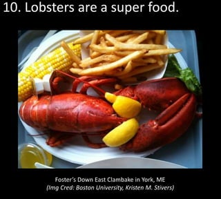 10. Lobsters are a super food.




          Foster’s Down East Clambake in York, ME
       (Img Cred: Boston University, Kristen M. Stivers)
 