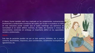 El lóbulo frontal también está muy implicado en los componentes motivacionales
(motivación) y conductuales (conducta) del sujeto; por lo que si se produce un daño
en esta estructura puede suceder que el sujeto mantenga una apariencia de
normalidad al no existir déficits motrices, de habla, de memoria o incluso de
razonamiento; existiendo sin embargo un importante déficit en las capacidades
sociales y conductuales.
Abulia
Este tipo de pacientes pueden ser por un lado apáticos, inhibidos, etc. o, por el
contrario, desinhibidos, impulsivos, poco considerados, socialmente incompetentes,
egocéntricos, etc.
 