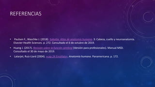 REFERENCIAS
• Paulsen F., Waschke J. (2018). Sobotta. Atlas de anatomía humana. 3: Cabeza, cuello y neuroanatomía.
Elsevier Health Sciences. p. 272. Consultado el 6 de octubre de 2019.
• Huang J. (2017). Revisión sobre la función cerebral (Versión para profesionales). Manual MSD.
Consultado el 30 de mayo de 2019.
• Latarjet; Ruiz-Liard (2004). «cap.24 Encéfalo». Anatomía humana. Panamericana. p. 172.
 