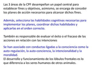 Las 3 áreas de la CPF desempeñan un papel central para
establecer fines y objetivos, asimismo, se encarga de concebir
los planes de acción necesarios para alcanzar dichos fines.
Además, selecciona las habilidades cognitivas necesarias para
implementar los planes, coordinar dichas habilidades y
aplicarlas en el orden correcto.
También es responsable de evaluar el éxito o el fracaso de las
acciones en relación con las intenciones
Se han asociado con conductas ligadas a la consciencia como la
auto-regulación, la auto-conciencia, la intencionalidad y la
moralidad.
El desarrollo y funcionamiento de los lóbulos frontales es lo
que diferencia a los seres humanos de otros animales.
 