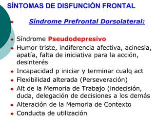 SÍNTOMAS DE DISFUNCIÓN FRONTAL
Síndrome Prefrontal Dorsolateral:
Síndrome Pseudodepresivo
Humor triste, indiferencia afectiva, acinesia,
apatía, falta de iniciativa para la acción,
desinterés
Incapacidad p iniciar y terminar cualq act
Flexibilidad alterada (Perseveración)
Alt de la Memoria de Trabajo (indecisión,
duda, delegación de decisiones a los demás
Alteración de la Memoria de Contexto
Conducta de utilización
 