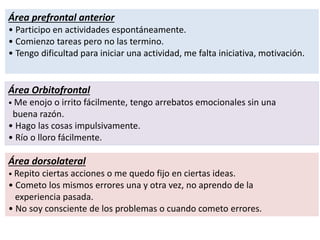 Área prefrontal anterior
• Participo en actividades espontáneamente.
• Comienzo tareas pero no las termino.
• Tengo dificultad para iniciar una actividad, me falta iniciativa, motivación.
Área Orbitofrontal
• Me enojo o irrito fácilmente, tengo arrebatos emocionales sin una
buena razón.
• Hago las cosas impulsivamente.
• Río o lloro fácilmente.
Área dorsolateral
• Repito ciertas acciones o me quedo fijo en ciertas ideas.
• Cometo los mismos errores una y otra vez, no aprendo de la
experiencia pasada.
• No soy consciente de los problemas o cuando cometo errores.
 
