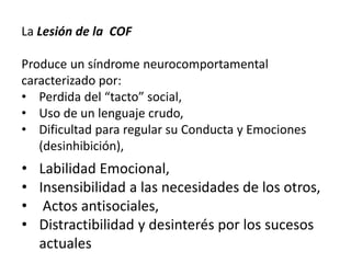 La Lesión de la COF
Produce un síndrome neurocomportamental
caracterizado por:
• Perdida del “tacto” social,
• Uso de un lenguaje crudo,
• Dificultad para regular su Conducta y Emociones
(desinhibición),
• Labilidad Emocional,
• Insensibilidad a las necesidades de los otros,
• Actos antisociales,
• Distractibilidad y desinterés por los sucesos
actuales
 