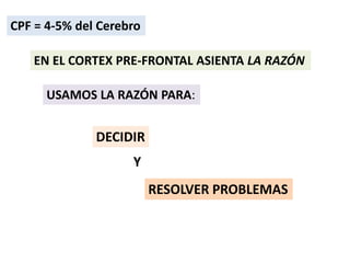 EN EL CORTEX PRE-FRONTAL ASIENTA LA RAZÓN
CPF = 4-5% del Cerebro
USAMOS LA RAZÓN PARA:
DECIDIR
Y
RESOLVER PROBLEMAS
 